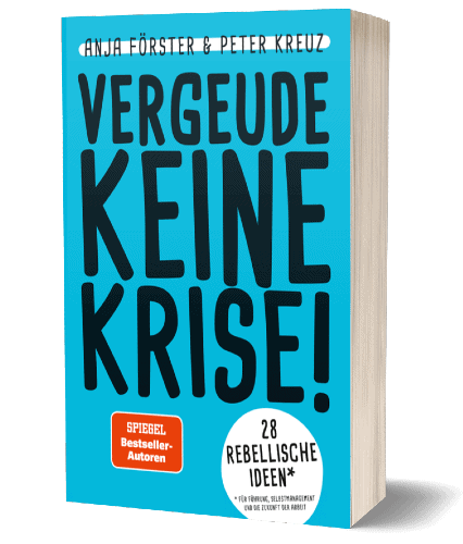 Cover Vergeude keine Krise