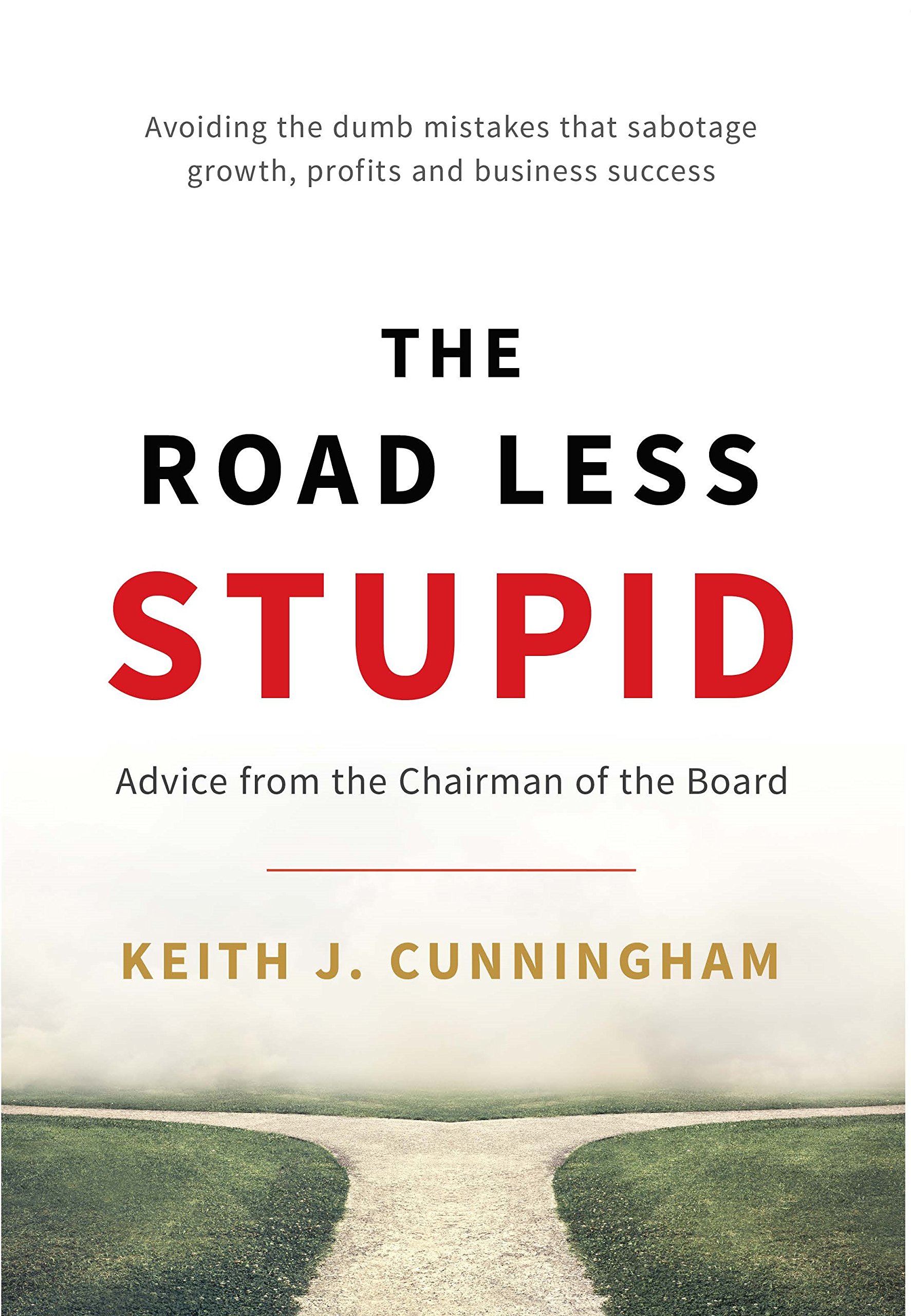 Read more about the article #37 The Road Less Stupid